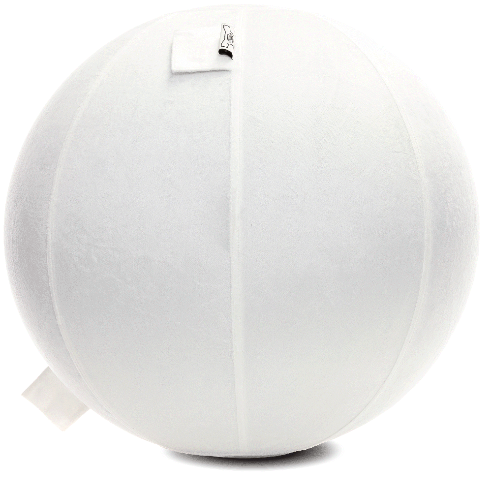 360 - YOGA-75-PBALL-White-Manual - Husband Pillow