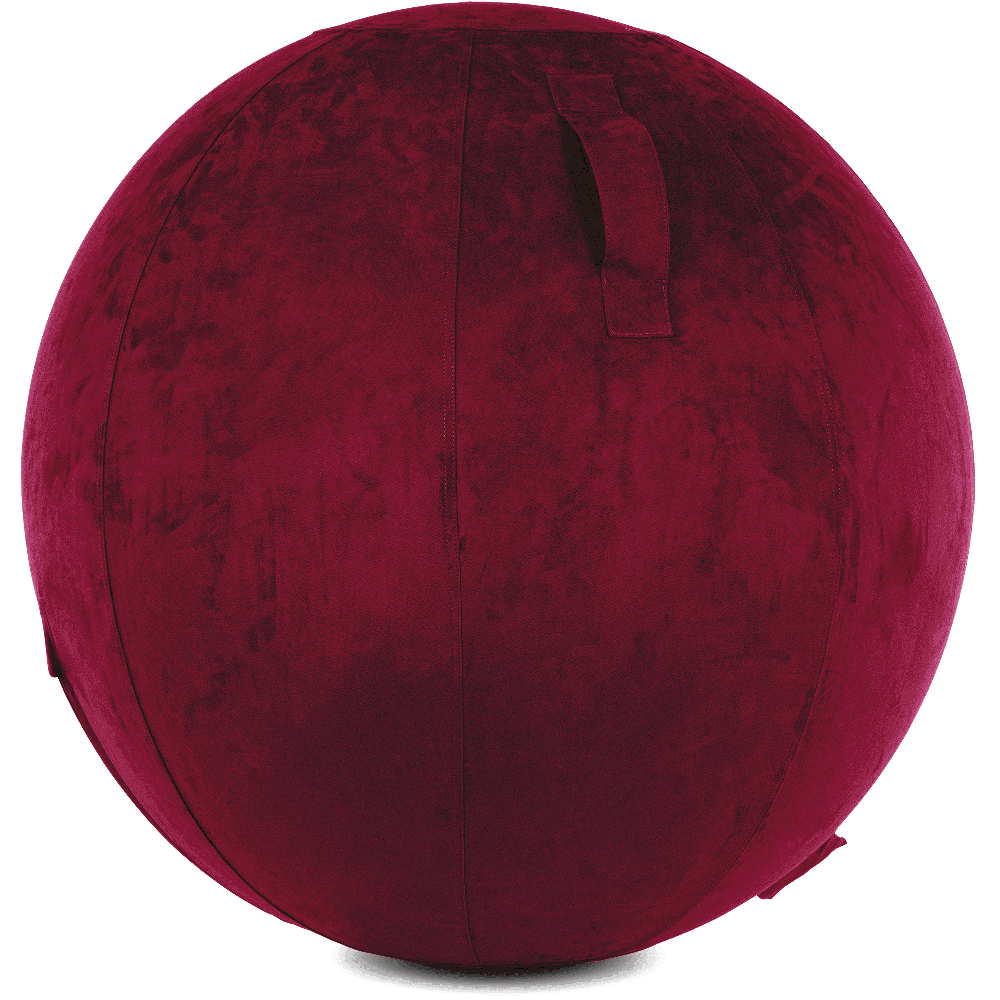 360 - YOGA-85-COWBALL-MPurpl-Manual - Husband Pillow