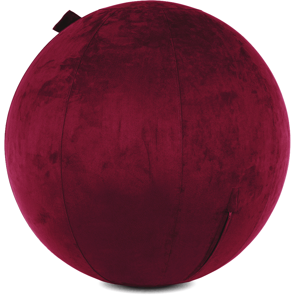 360 - YOGA-85-COWBALL-MPurpl-Manual - Husband Pillow