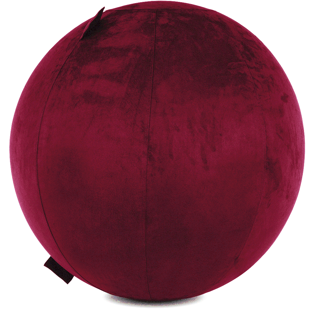 360 - YOGA-85-COWBALL-MPurpl-Manual - Husband Pillow