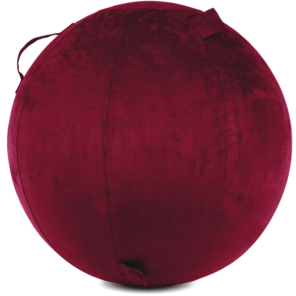 360 - YOGA-85-COWBALL-MPurpl-Manual - Husband Pillow