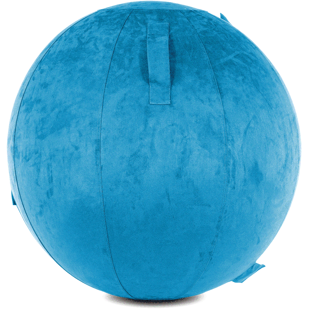 360 - YOGA-85-COWBALL-RBlue-Elect - Husband Pillow