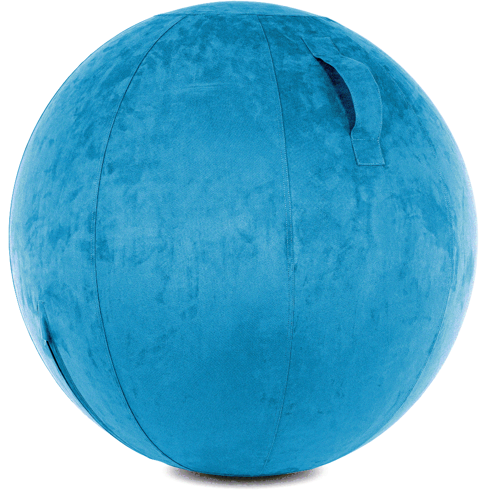 360 - YOGA-85-COWBALL-RBlue-Manual - Husband Pillow