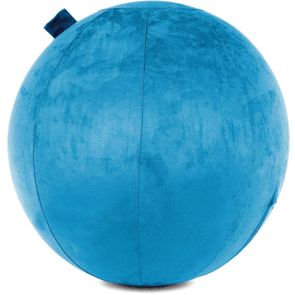 360 - YOGA-85-COWBALL-RBlue-Manual - Husband Pillow