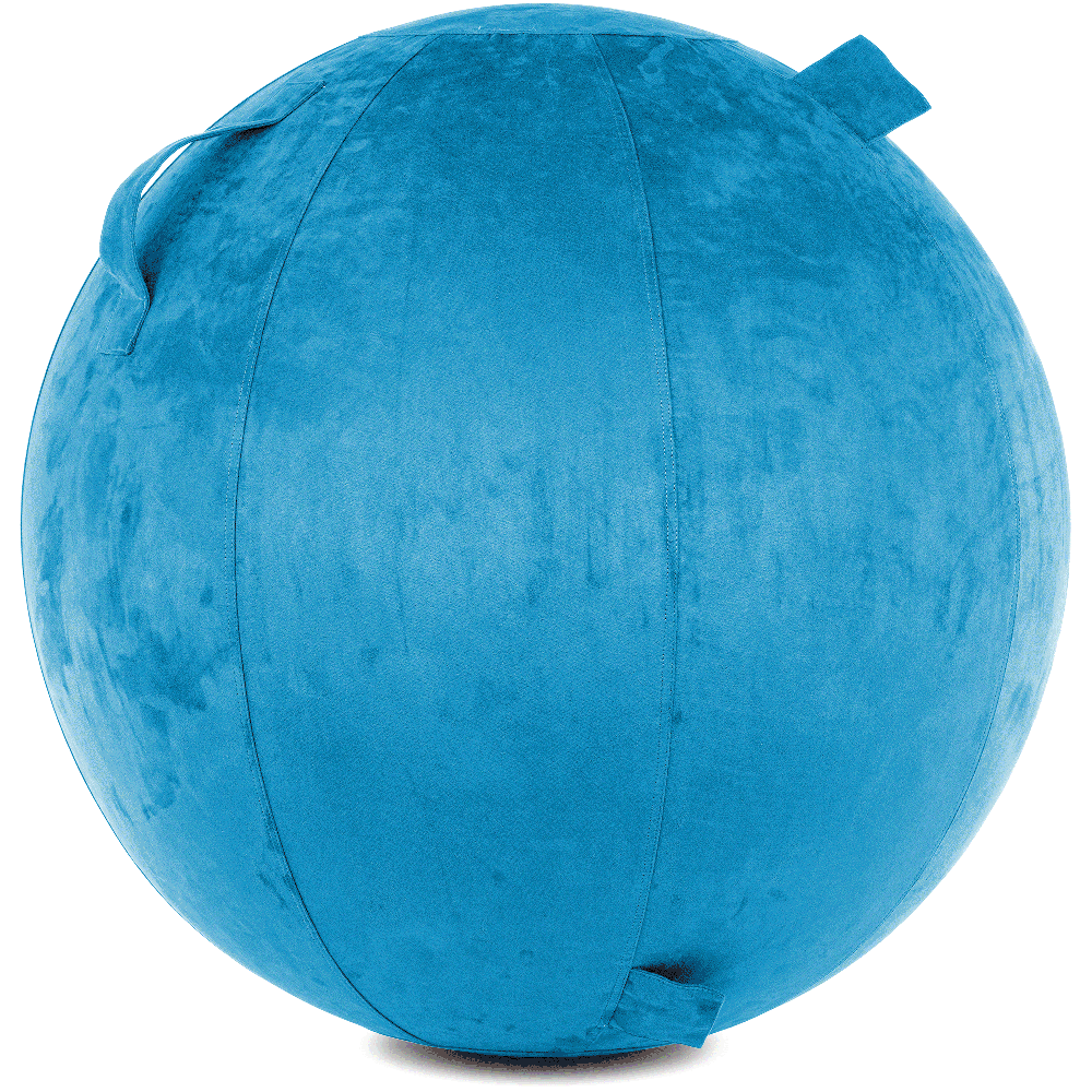 360 - YOGA-85-COWBALL-RBlue-Manual - Husband Pillow