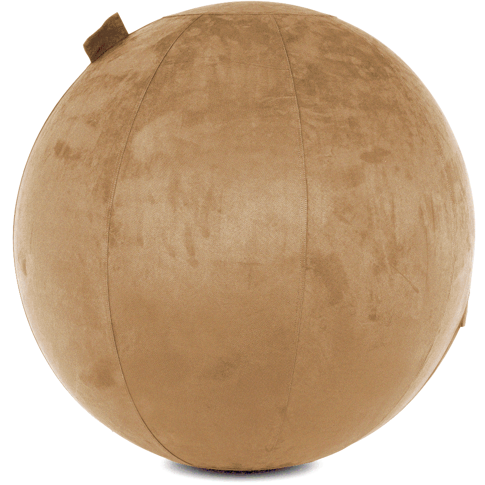 360 - YOGA-85-COWBALL-SBrown-Manual - Husband Pillow