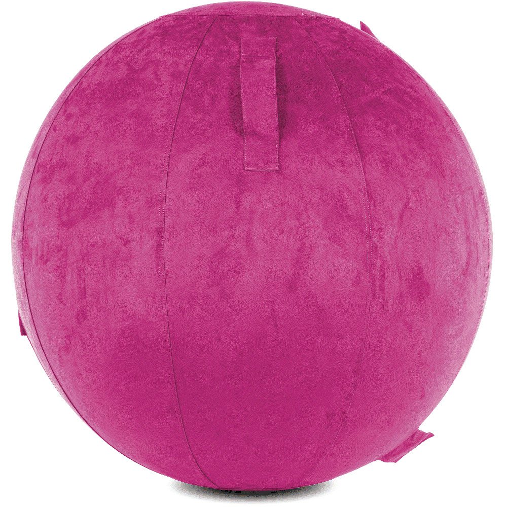 360 - YOGA-85-COWBALL-SRaspberry-Elect - Husband Pillow