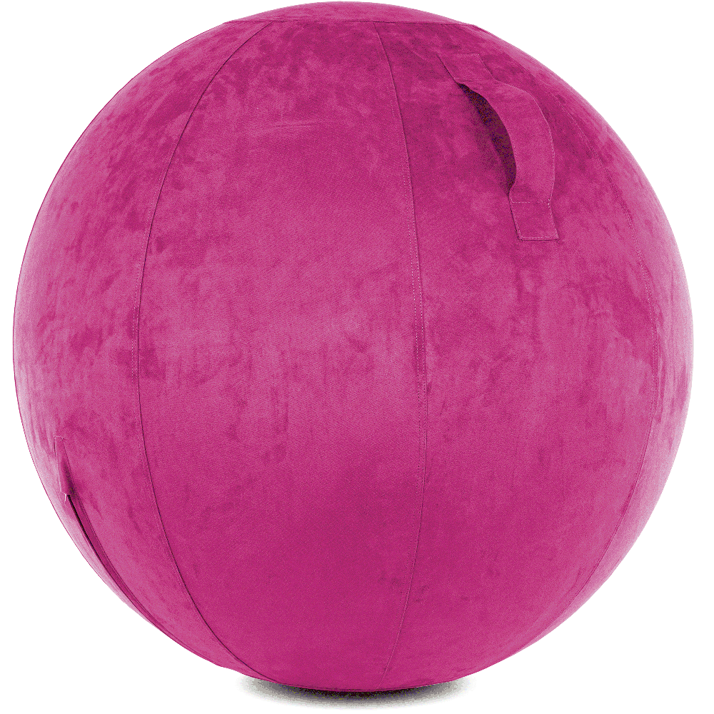 360 - YOGA-85-COWBALL-SRaspberry-Manual - Husband Pillow