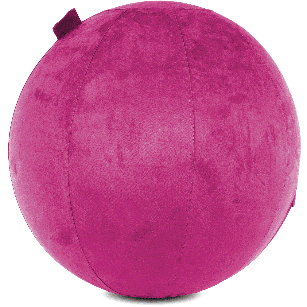 360 - YOGA-85-COWBALL-SRaspberry-Manual - Husband Pillow