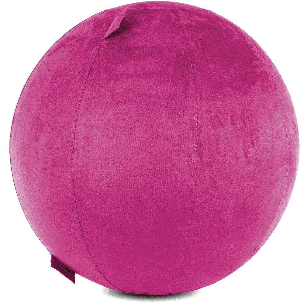 360 - YOGA-85-COWBALL-SRaspberry-Manual - Husband Pillow