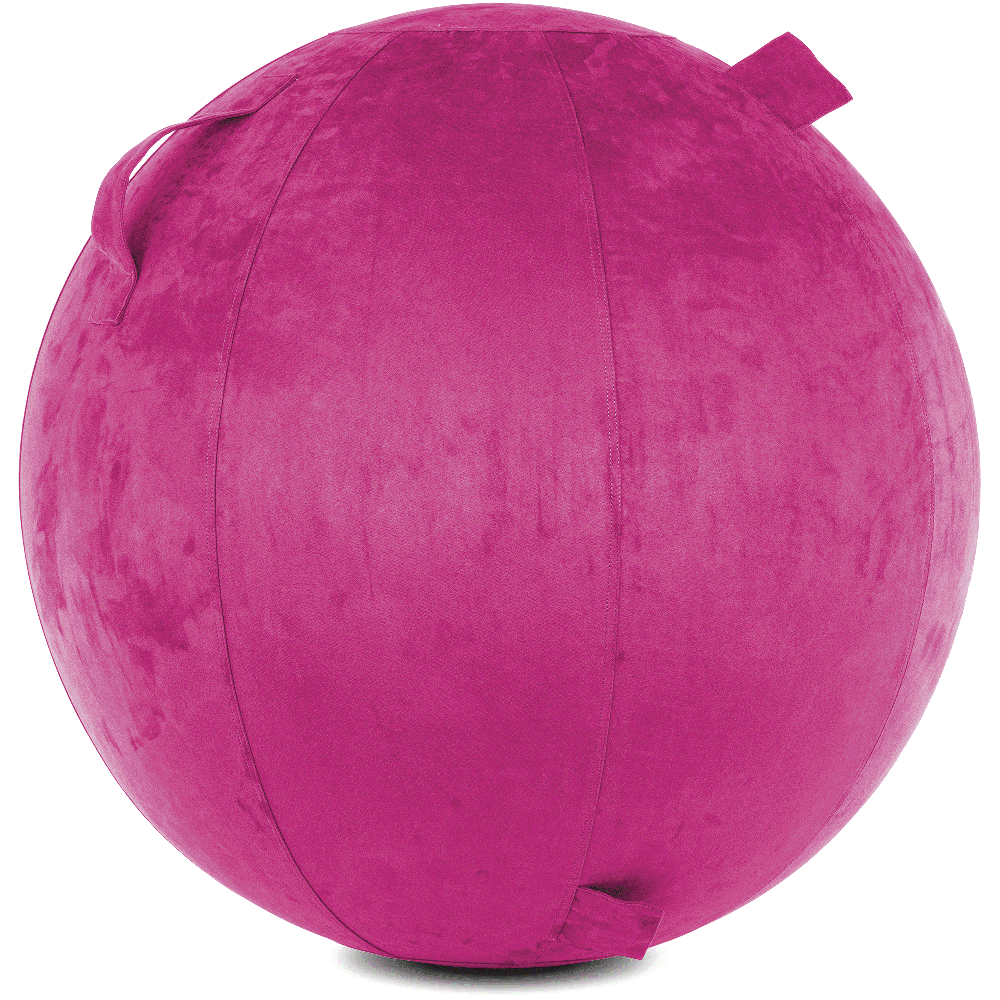 360 - YOGA-85-COWBALL-SRaspberry-Manual - Husband Pillow