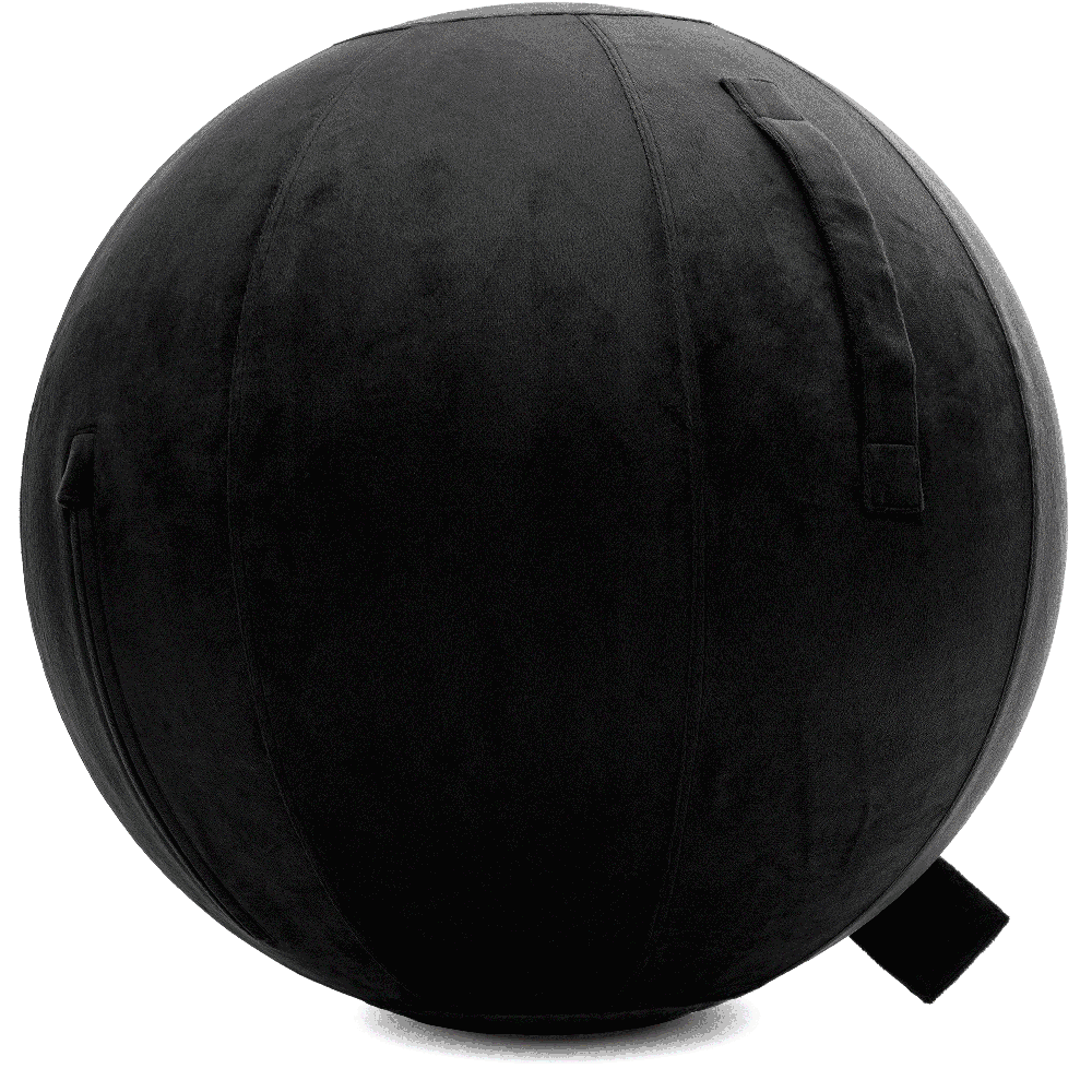 360 - YOGA-85-PBALL-Black-Elect - Husband Pillow