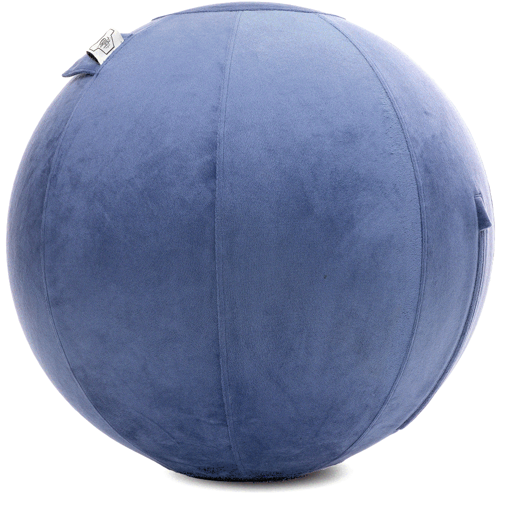 360 - YOGA-85-PBALL-DBlue-Manual - Husband Pillow