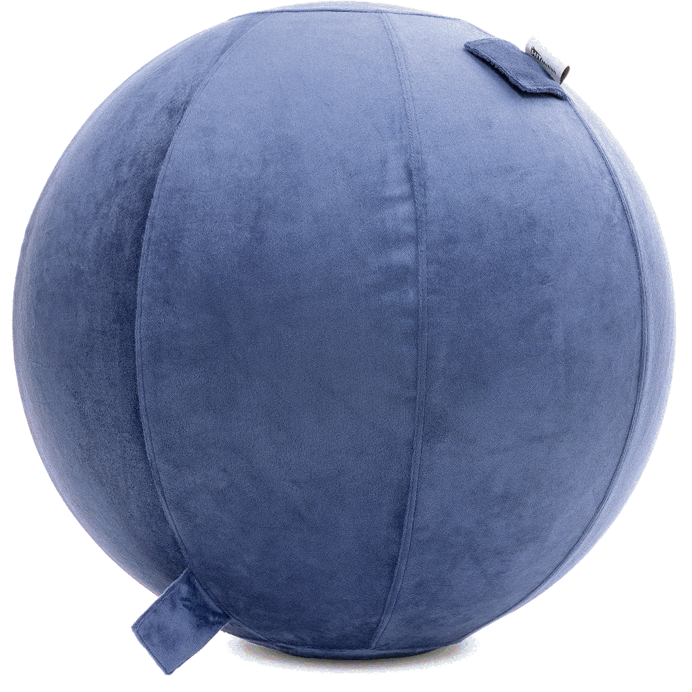 360 - YOGA-85-PBALL-DBlue-Manual - Husband Pillow