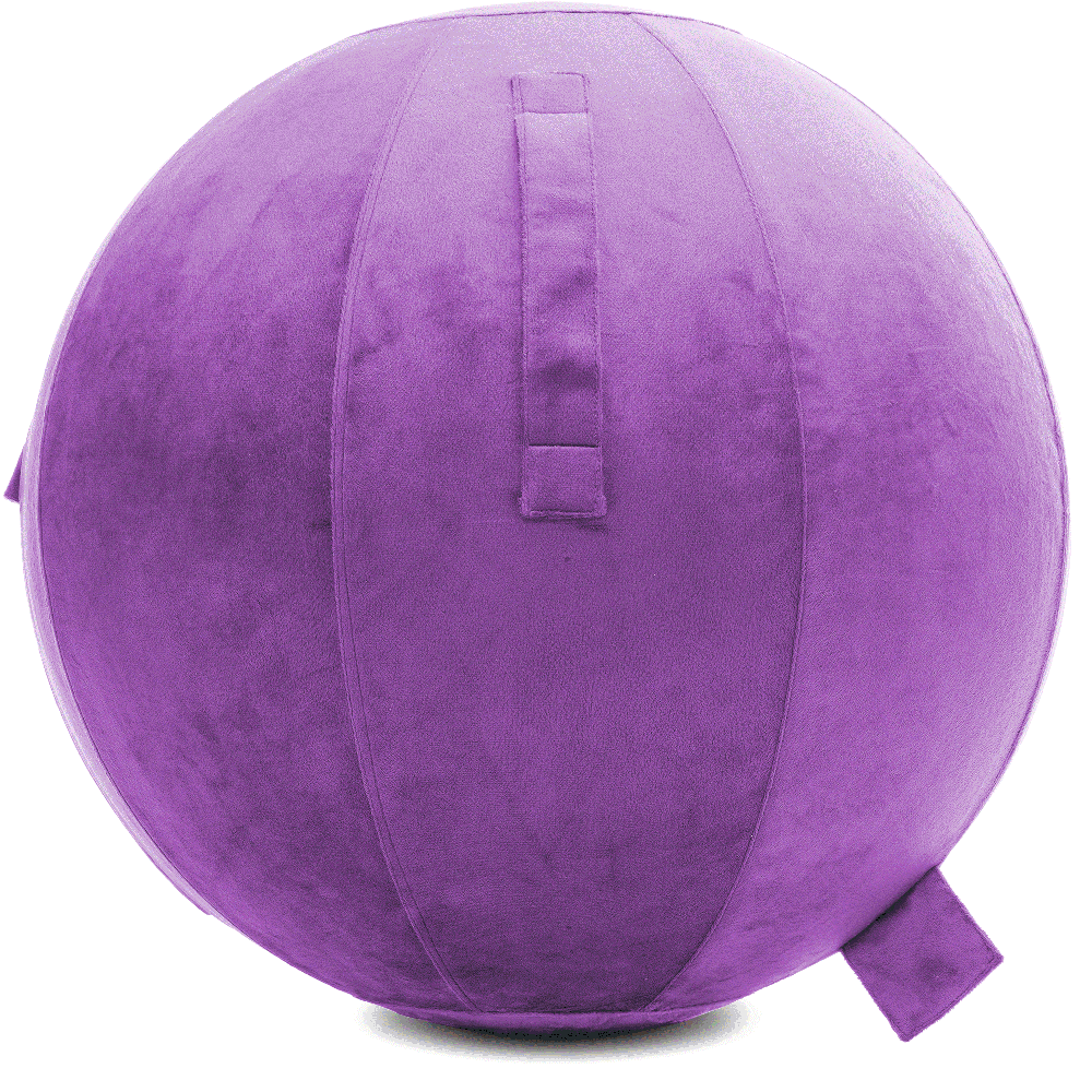 360 - YOGA-85-PBALL-Lt-Purple-Elect - Husband Pillow