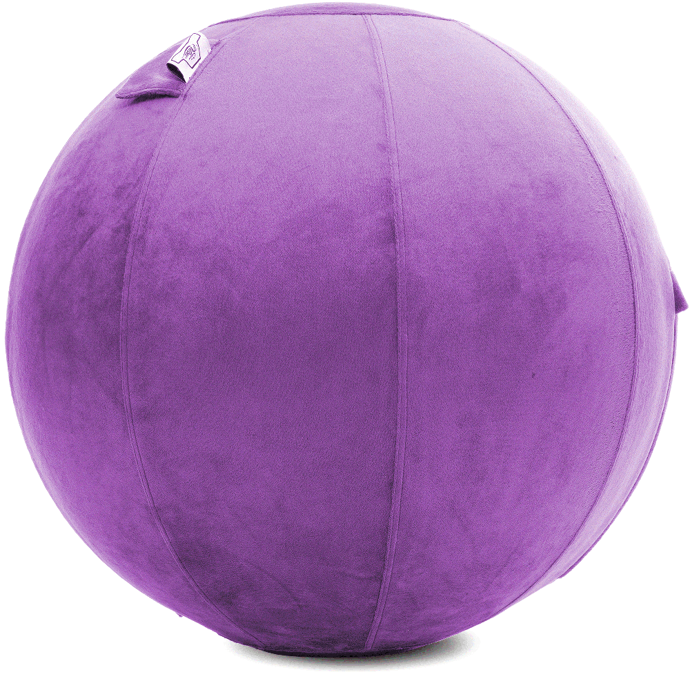 360 - YOGA-85-PBALL-Lt-Purple-Elect - Husband Pillow