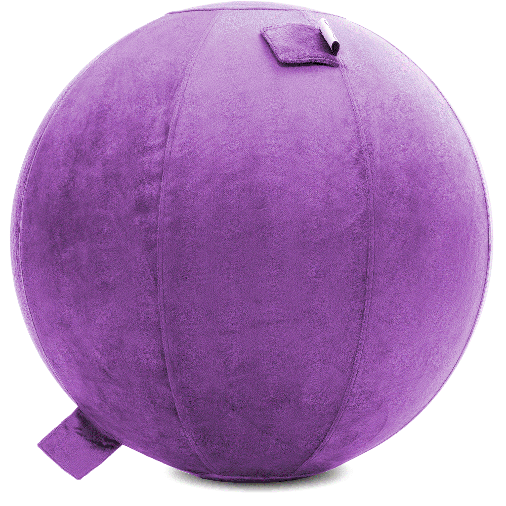 360 - YOGA-85-PBALL-Lt-Purple-Elect - Husband Pillow