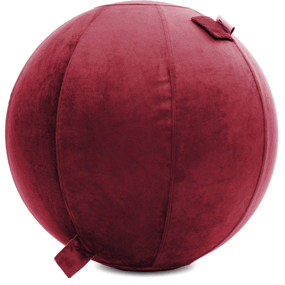 360 - YOGA-85-PBALL-Maroon-Elect - Husband Pillow