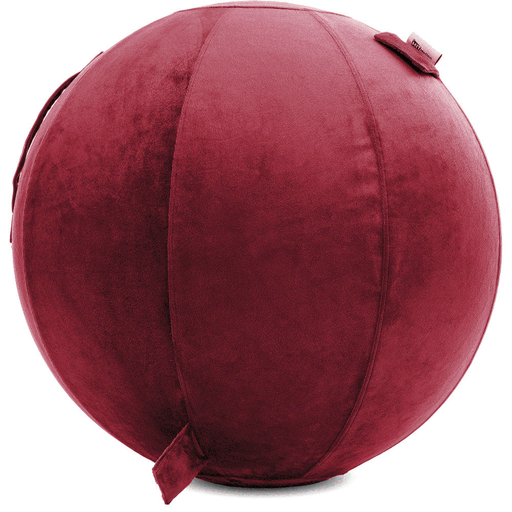 360 - YOGA-85-PBALL-Maroon-Elect - Husband Pillow