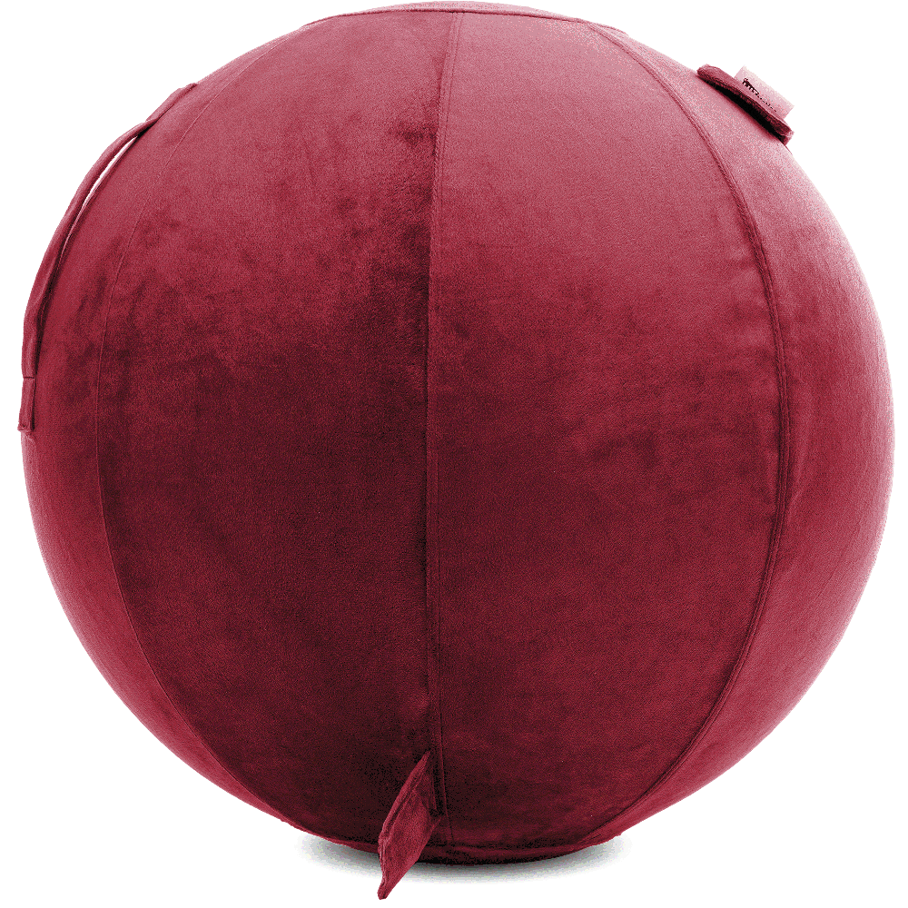 360 - YOGA-85-PBALL-Maroon-Elect - Husband Pillow